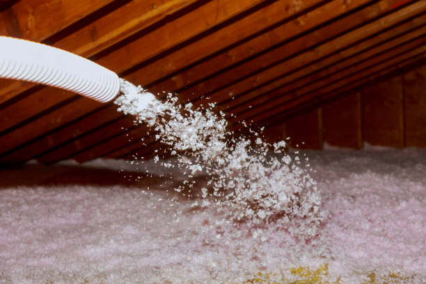 Best Insulation Installation Services in Bean Station, TN